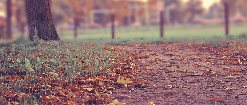 【MAC苹果电脑】完美适配的CC在线压力测试