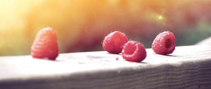 免费ddos攻击网页端